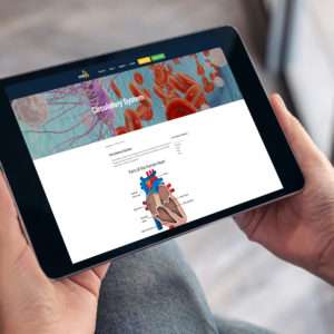 Digital Student Training Packs