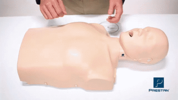 Prestan Adult Resuscitation Manikin - Image 2